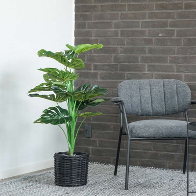 billigt tilbud på Monstera - Kunstig plante, 90 cm. Stort udvalg online. Hurtig levering: 1-2 hverdage. Billig fragt. Varenummer: 3NDC-4602. Udsalg på Boligtilbehør > Kunstige blomster. Spar op til 66%.