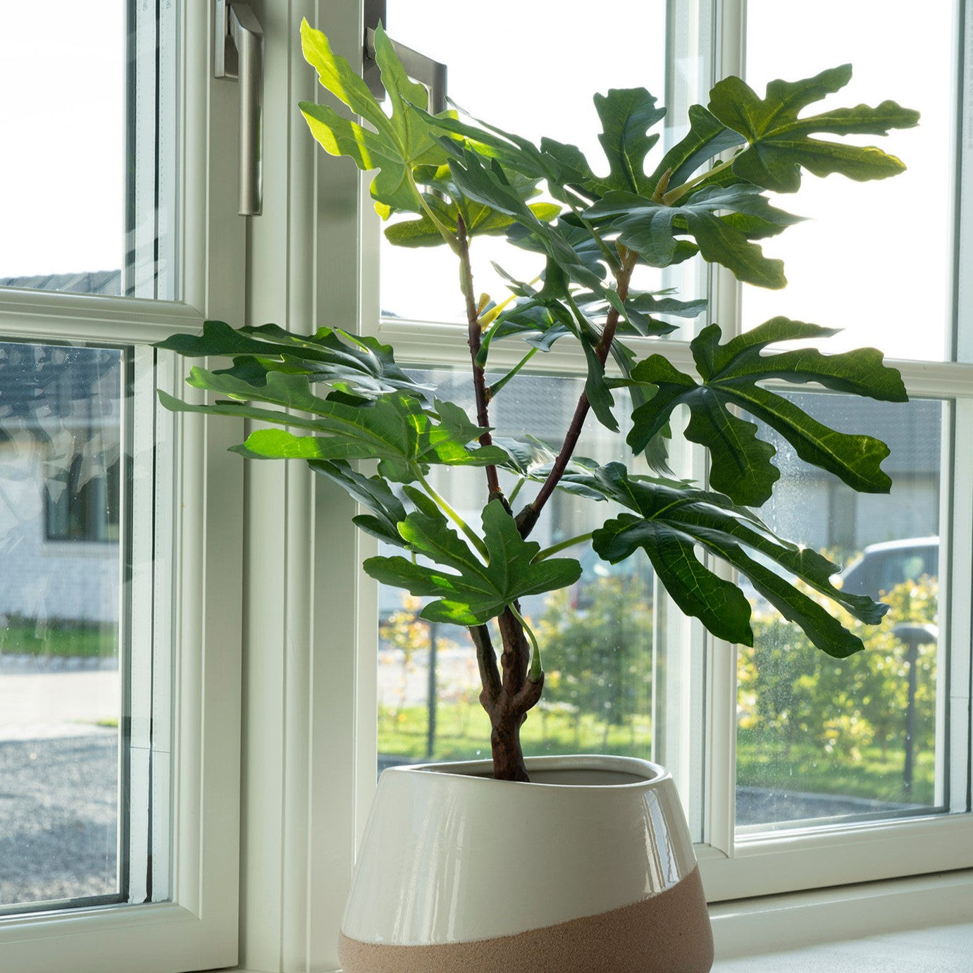 Produktbillede af Figentræ Kunstig plante højde 50 cm. på tilbud i høj kvalitet