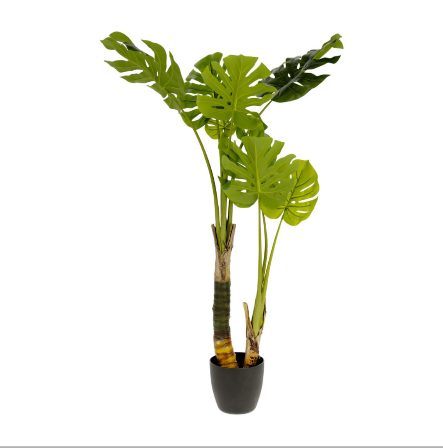 Produktbillede af KAVE HOME Monstrea kunstig plante 130 cm høj PE cement og skum i premium kvalitet
