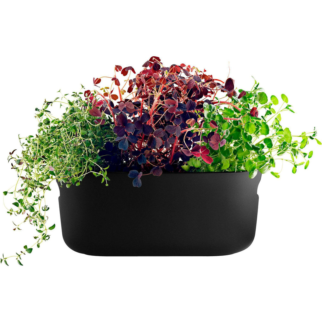 Eva solo Eva solo Selvvandende Herb Organiser Sort ❤ frontbillede (Krydderi/ urtebeholder)