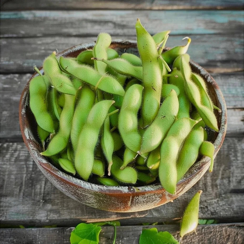 Soyabønne frø Edamame