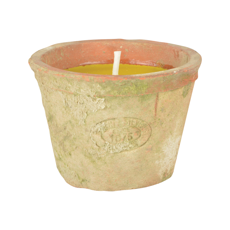 Esschert Design - Citronella lys mod insekter i terracotta krukke ❤ Stort online udvalg i Esschert Design ❤ Billig fragt og hurtig levering 2 - 5 hverdage ❤ Varenummer: BGH-42882506916092 / Ean: &