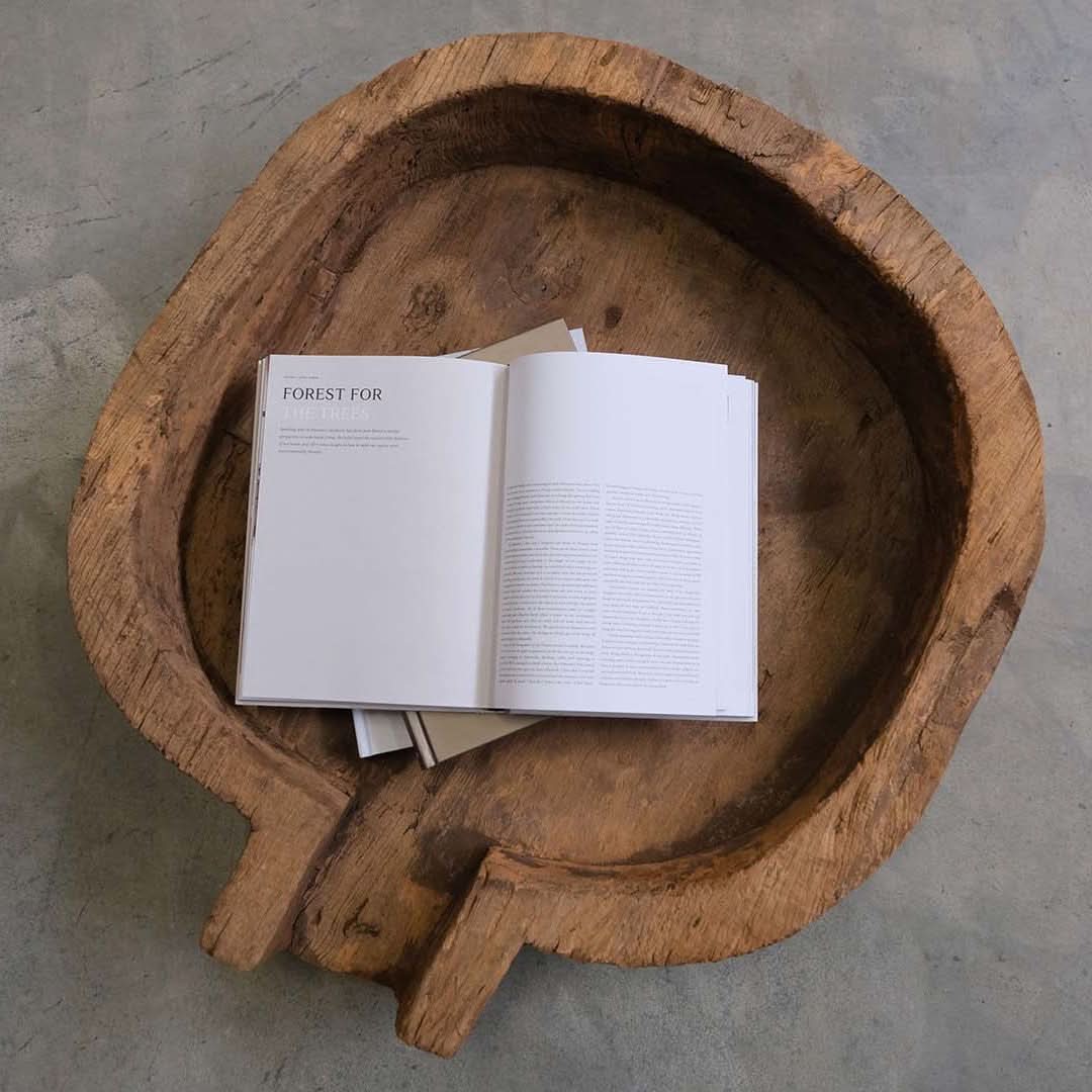 tilbud på Muir træfad (59x75 cm) - Billigt udsalg! Hurtig levering (1-2 dage) & billig fragt. Varenummer: 3NDC-4410. Over 1324 brands på udsalg.