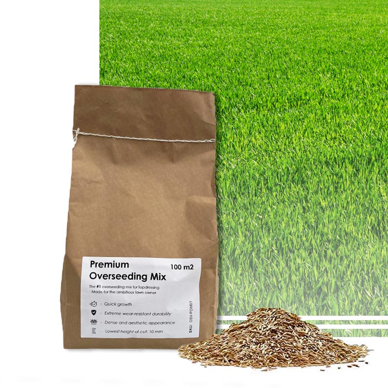 Produktbillede af Premium Overseeding Mix 1 kg på tilbud i høj kvalitet