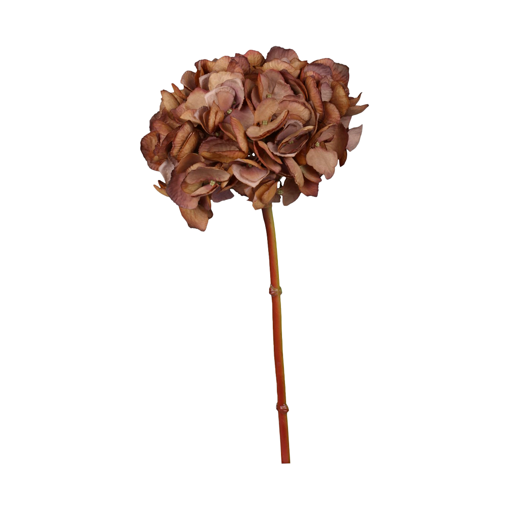 Produktbillede af FLEUR Hortensia på tilbud i høj kvalitet