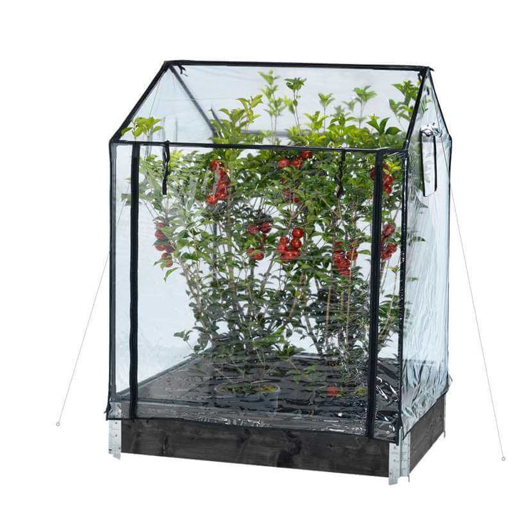 Produktbillede af Minidrivhus til palleramme på tilbud i høj kvalitet