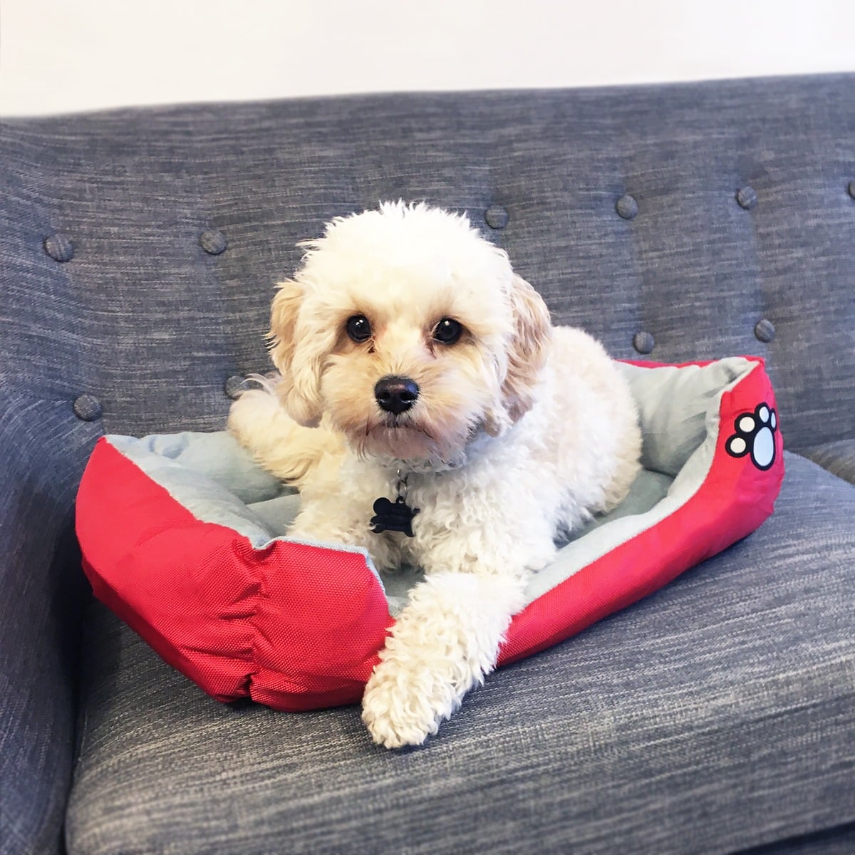 Produktbillede af Hundekurv/kattekurv 55 80 cm flere farver Sort MEDIUM på tilbud