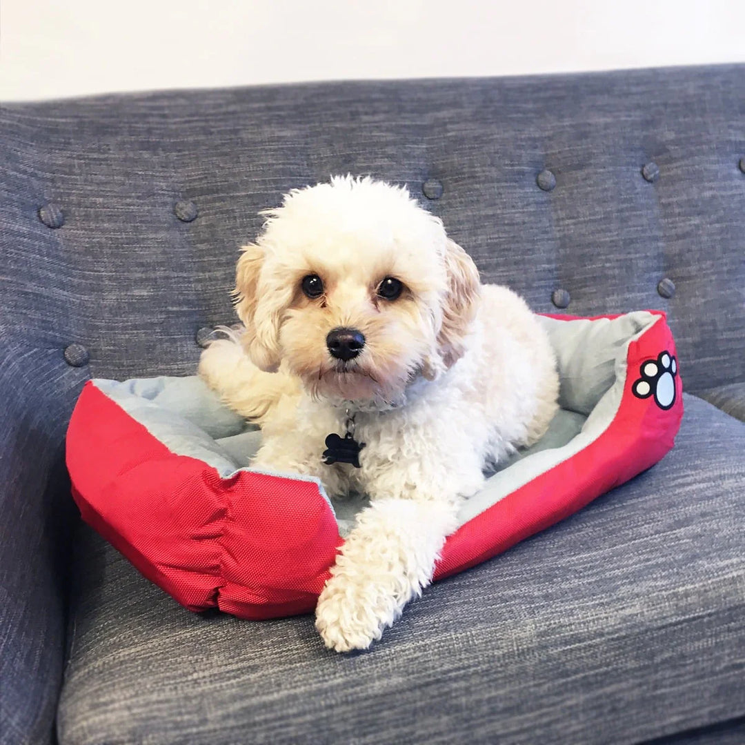 Hundekurv/kattekurv 55 80 cm flere farver Brun MEDIUM