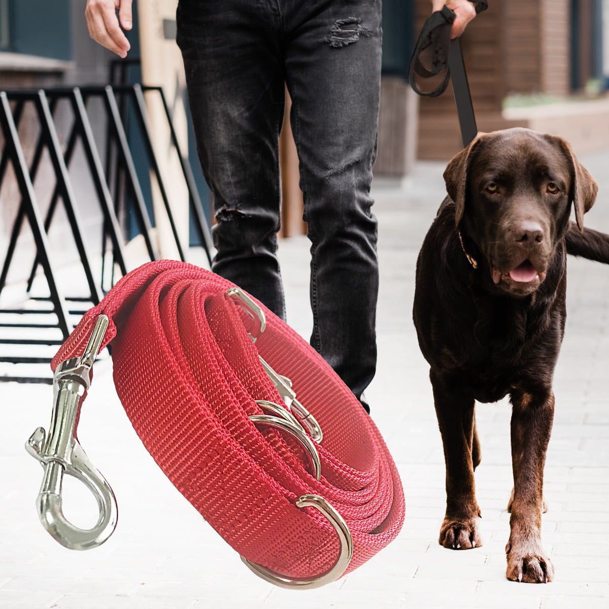 Produktbillede af Køb Hundesnor i Nylon 2 meter lang 2,5 cm bred Rød på tilbud