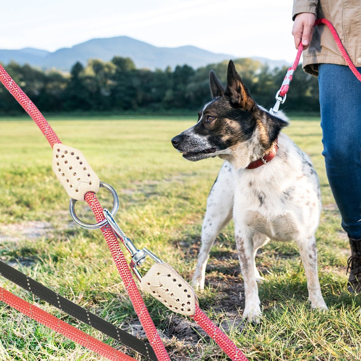 Produktbillede af Hundesnor 2 meter m/karabinhage i krom Rund ø1 cm Rød på tilbud
