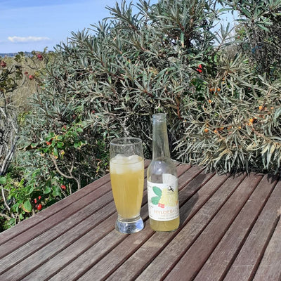 tilbud på Drikkeklar saft - Hyldeblomst med havtorn! Billigt udsalg online. Hurtig levering, 1-2 hverdage. Varenummer: 3NDC-3558. Spar op til 58%.
