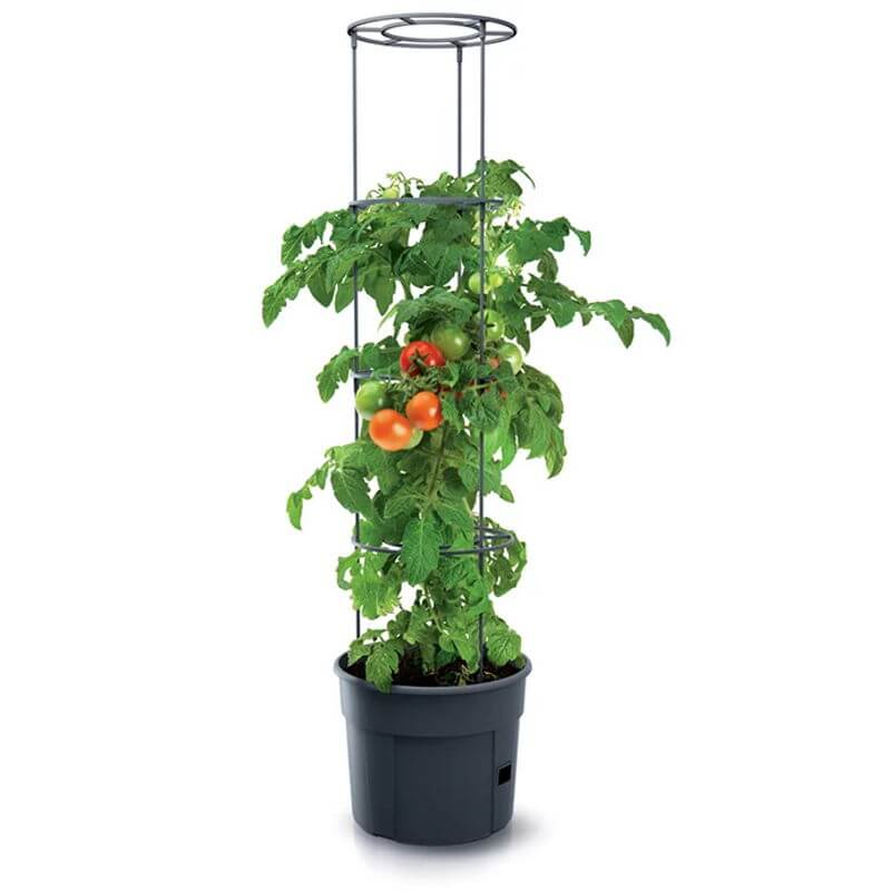 Produktbillede af Tomatpotte med espalier 12 liter på tilbud i høj kvalitet