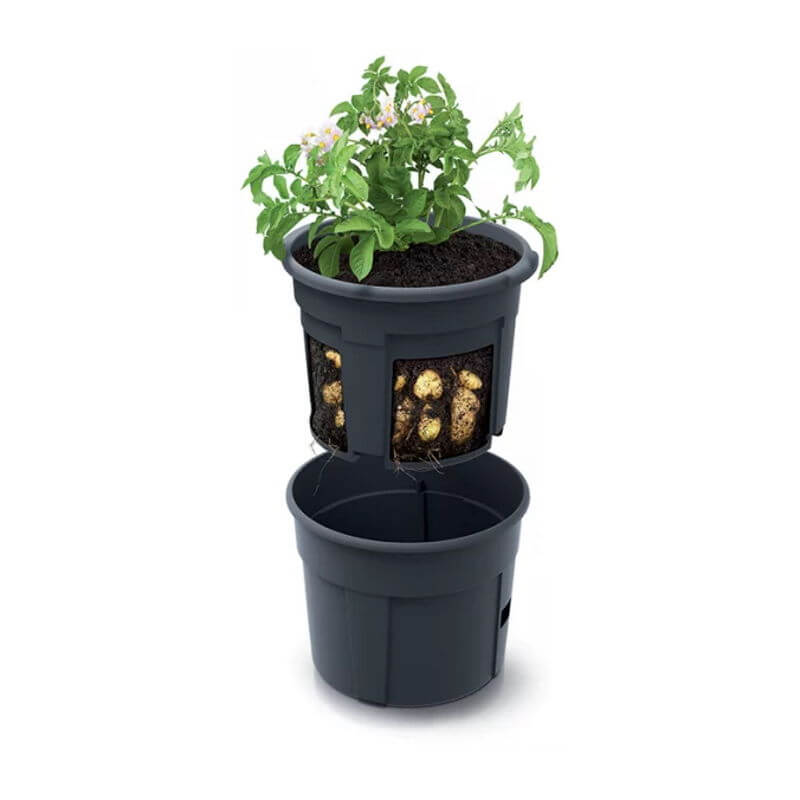 Produktbillede af Kartoffelpotte 12 liter på tilbud i høj kvalitet