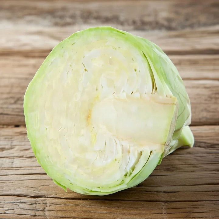 Økologiske Hvidkåls frø Drago F1