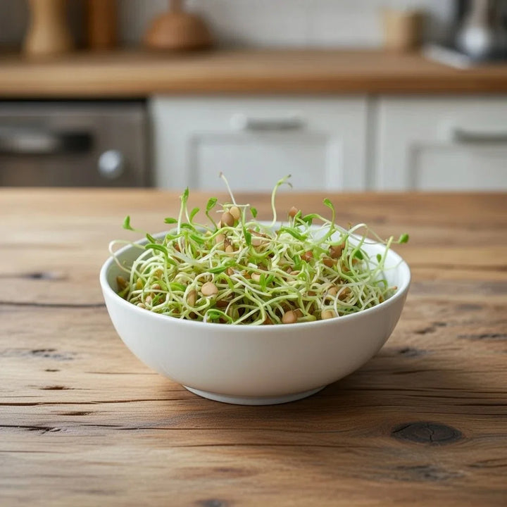 Økologisk linsespirer frø 30 g