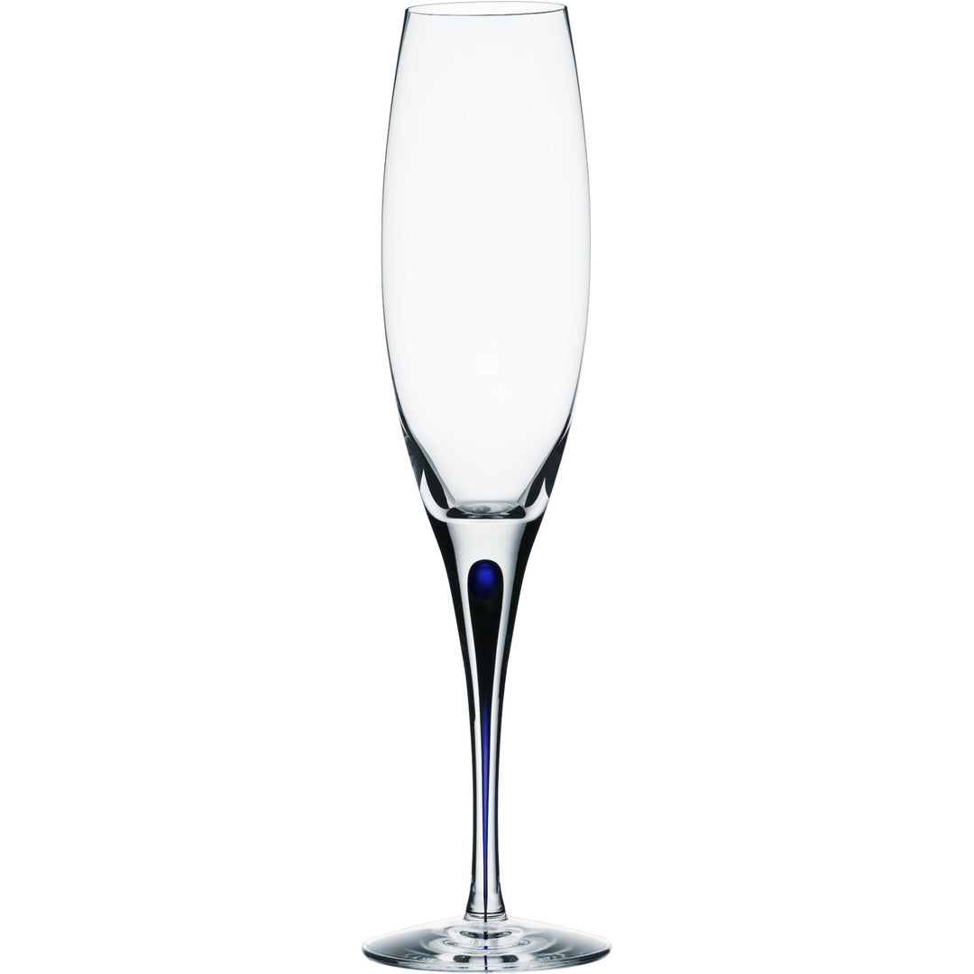 Orrefors Orrefors Intermezzo Blå Champagne 26cl. – vinkelbillede (Champagneglas)