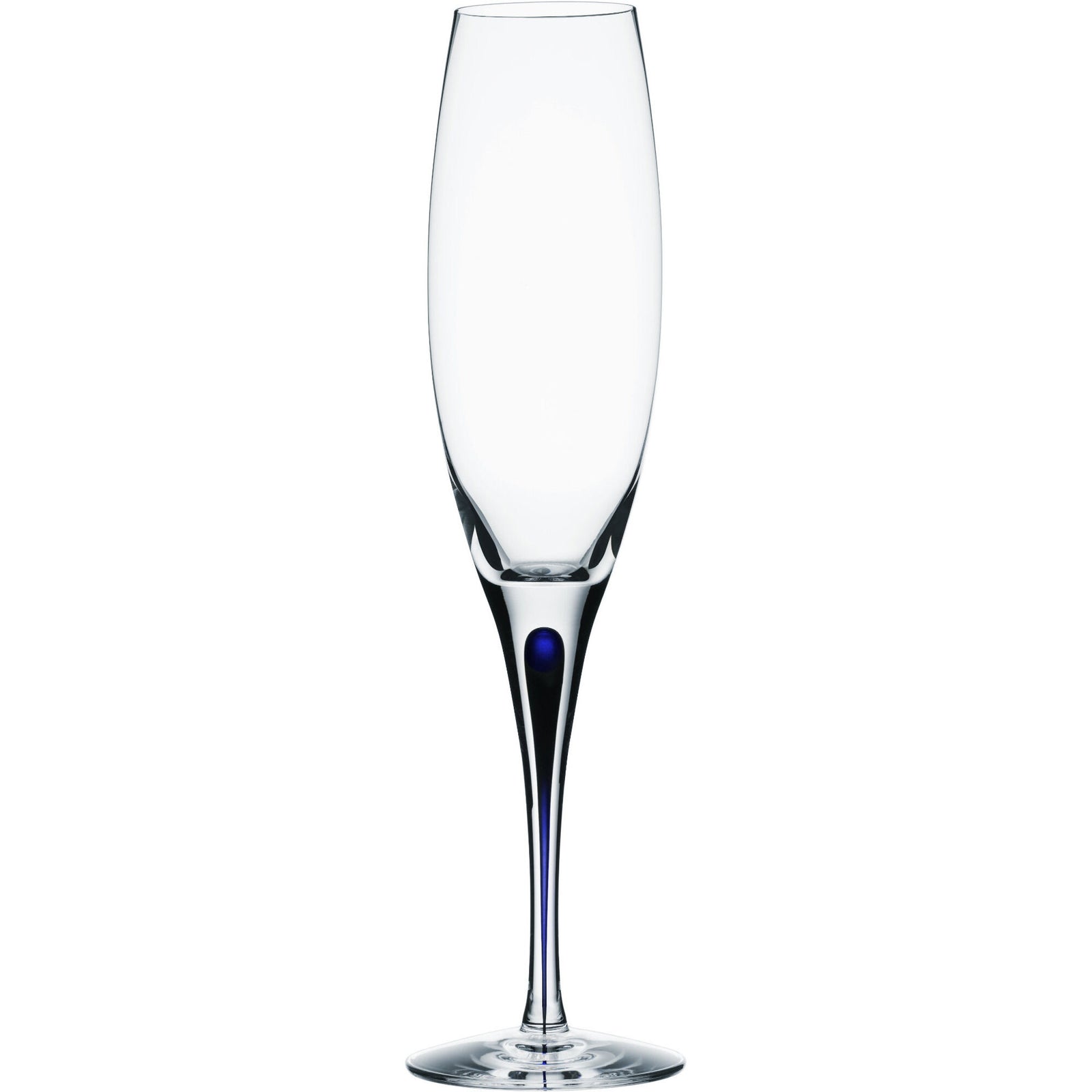 Orrefors Orrefors Intermezzo Blå Champagne 26cl. – vinkelbillede (Champagneglas)