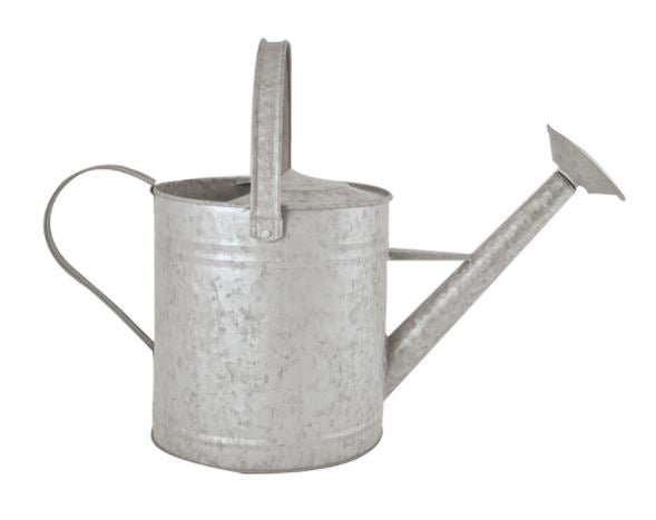 Esschert Design - Retro zink vandkande 3 størrelser - 8,75 Liter ❤ Stort online udvalg i Esschert Design ❤ Billig fragt og hurtig levering 2 - 5 hverdage ❤ Varenummer: BGH-39618288681111 / Ean: &