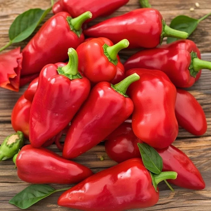 Økologisk Snack Peberfrugt frø Piquillo