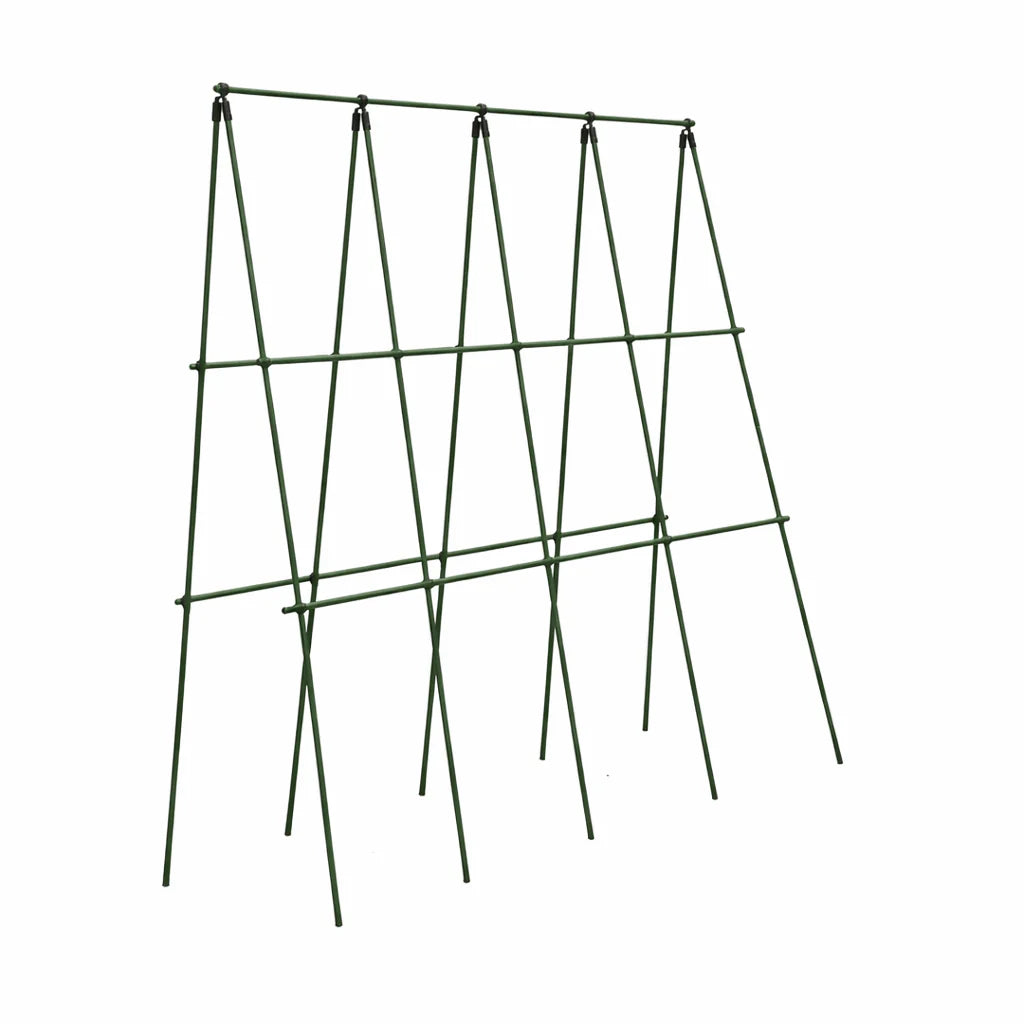 Plantestøtte espalier 180 x 180 cm