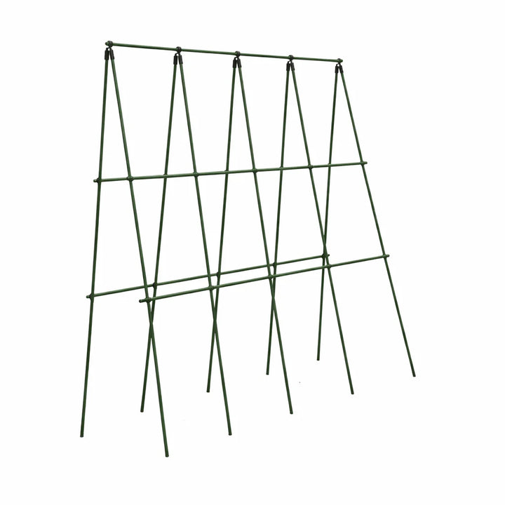 Plantestøtte espalier 150 x 150 cm