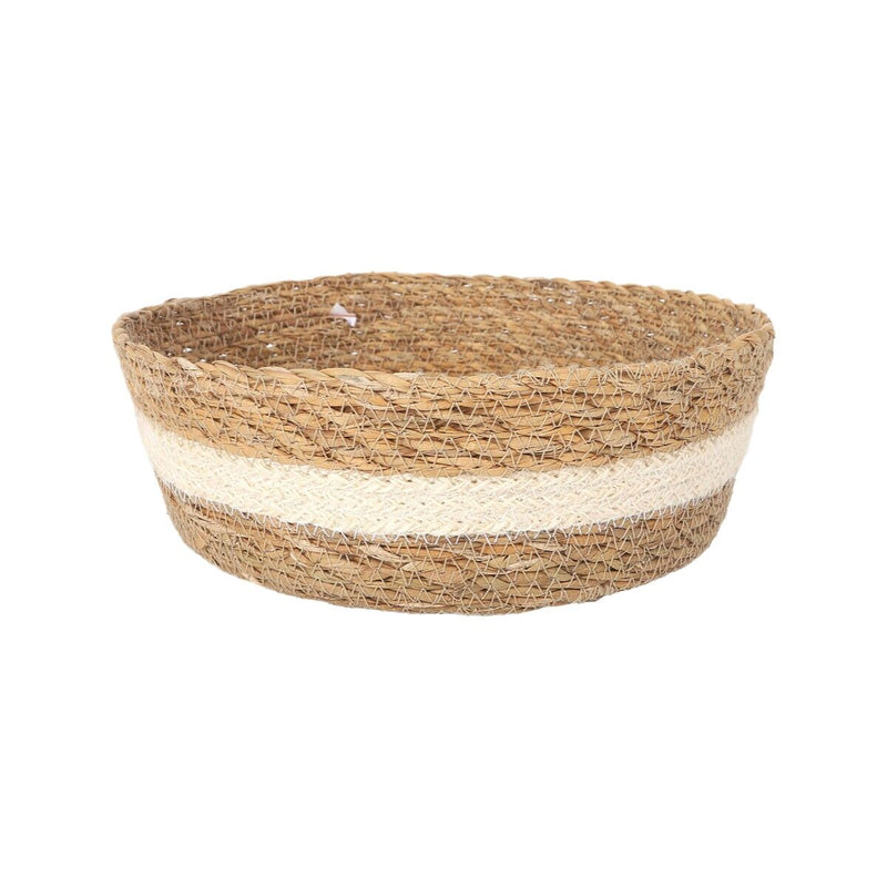 V4HC4B53154A869550EA38EEE5535348C09R7242210P2