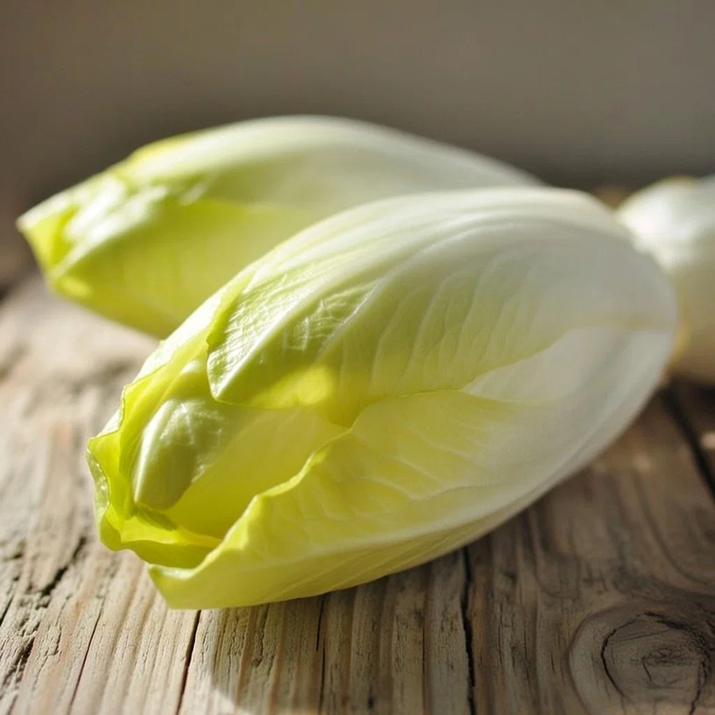 Økologisk Julesalat frø Hollandse Middelvroeg