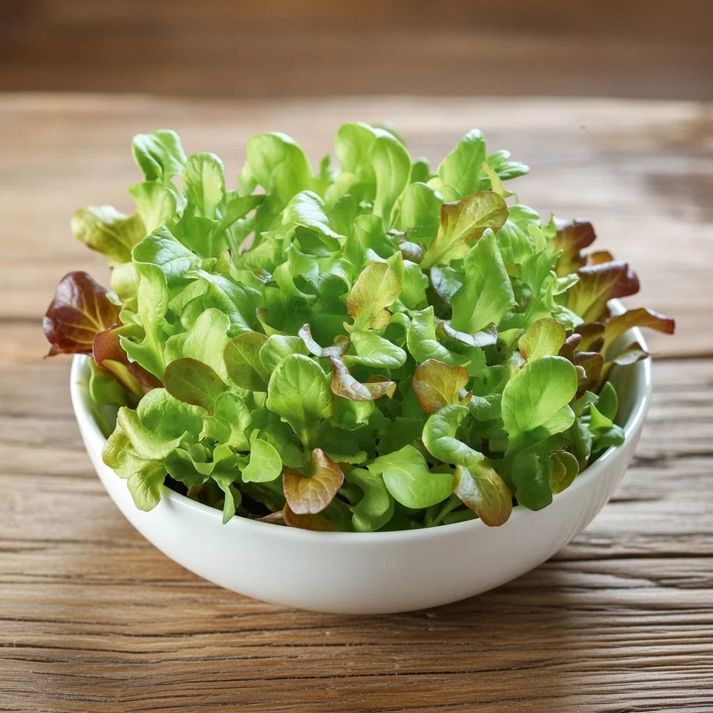 Mikrogrønt Salat mix frø