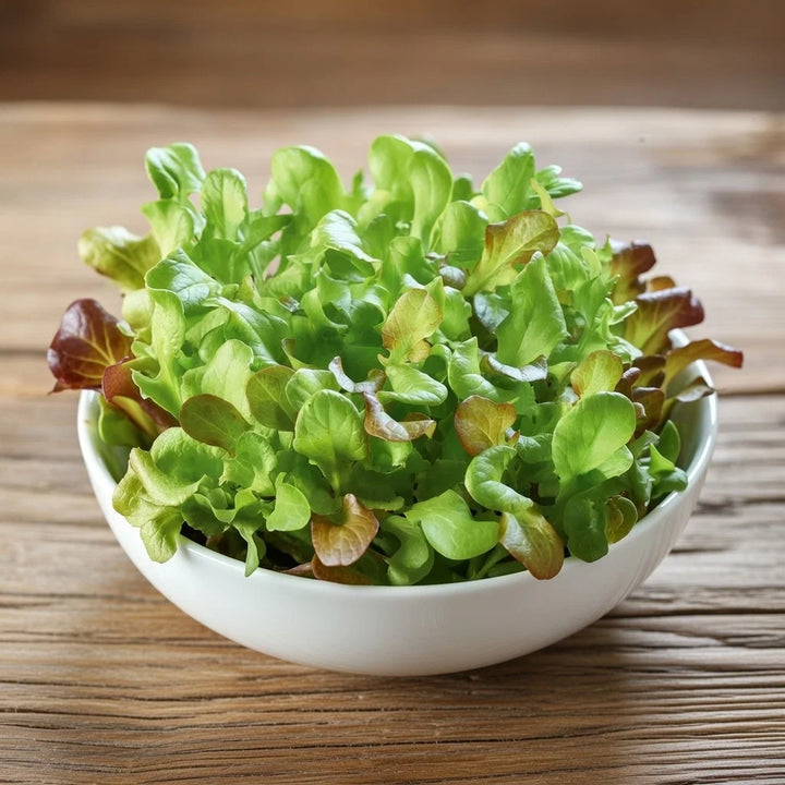 Mikrogrønt Salat mix frø