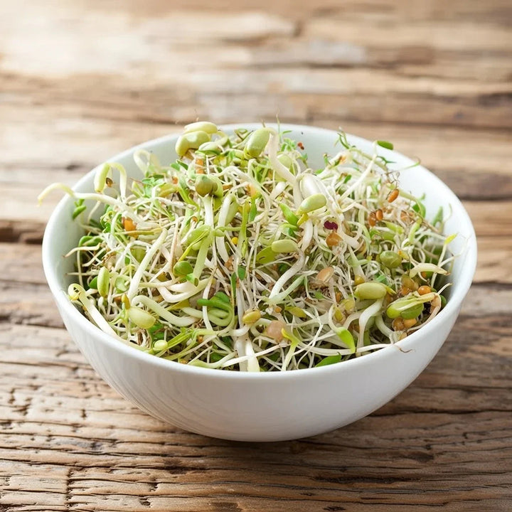 Økologisk salatmix spirer 30 g