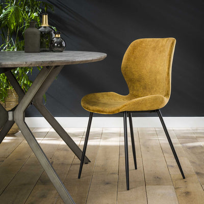 billigt tilbud på Blues- 4 Spisebordsstole i gylden velour og metal! Udsalg på 3-nordic. Køb online nu! Hurtig levering: 1-2 hverdage. Spar op til 54%.