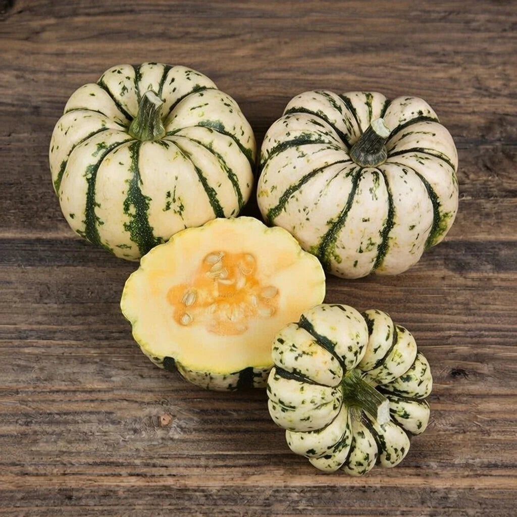 Vintersquash frø Sweet Dumpling