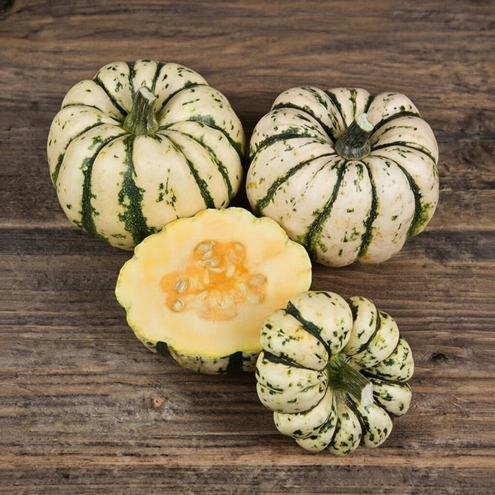 Vintersquash frø Sweet Dumpling