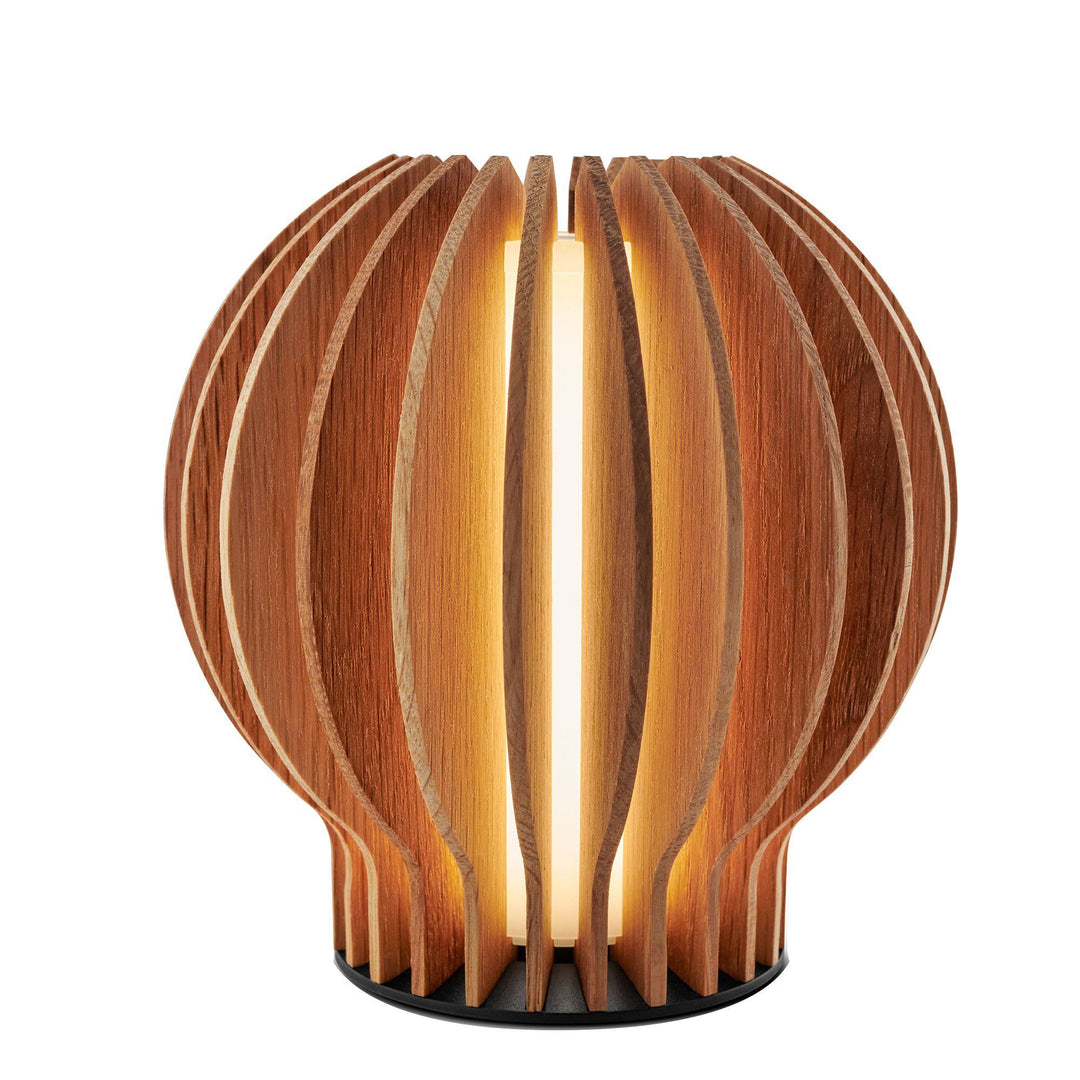 Eva solo Eva solo Radiant rund LED-lampe, eg – vinkelbillede (Lampe)