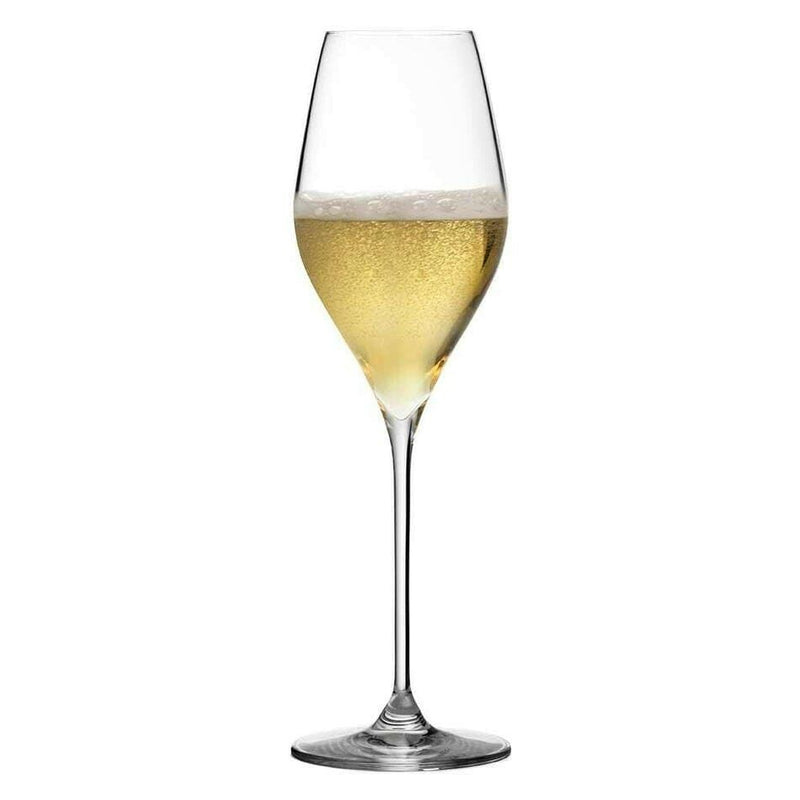 Champagneglas Bacci ❤ Kæmpe udvalg i Urban Bar ❤ Billig fragt og hurtig levering 2 - 5 hverdage - Varenummer: BAR-12010 / Ean: &
