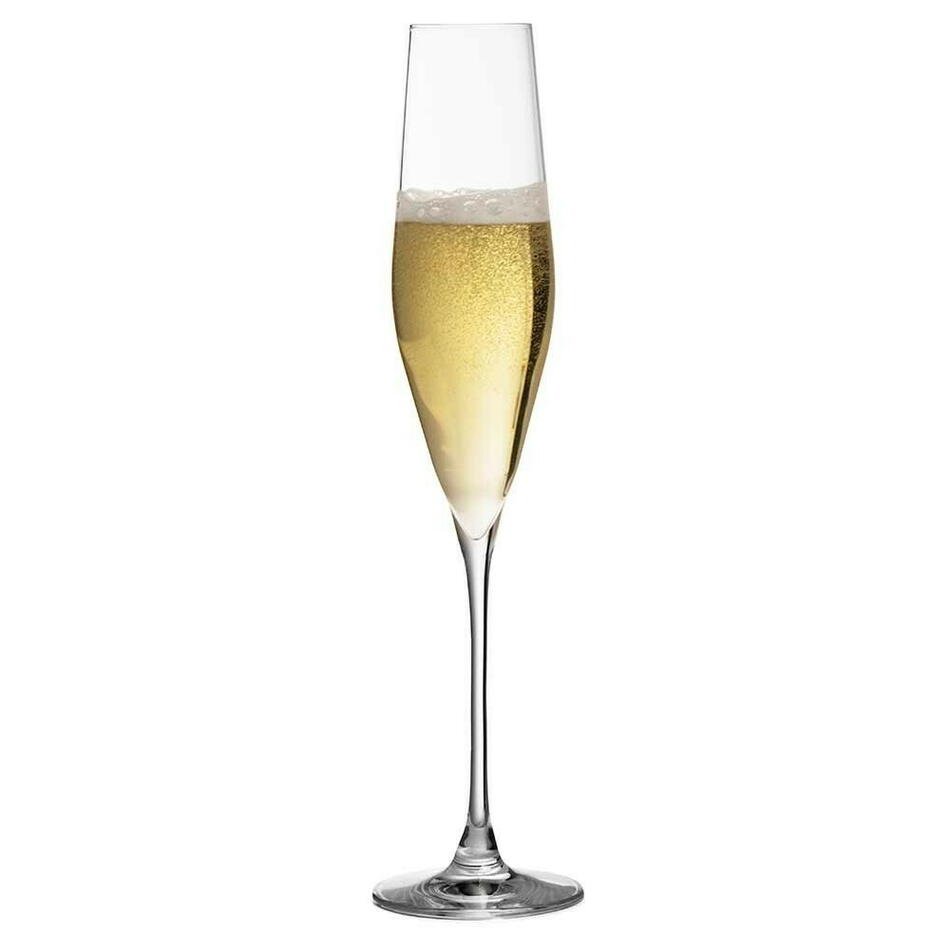 Produktbillede af Champagne Flute Bacci Krystalglas Urban Bar på tilbud i brug