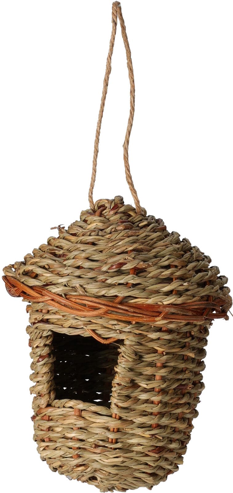 RedekasSøgræs H15 cm ❤ Kæmpe udvalg i Bolig og Haven ❤ Billig fragt og hurtig levering 2 - 5 hverdage - Varenummer: BGH-47865870451018 / Ean: &