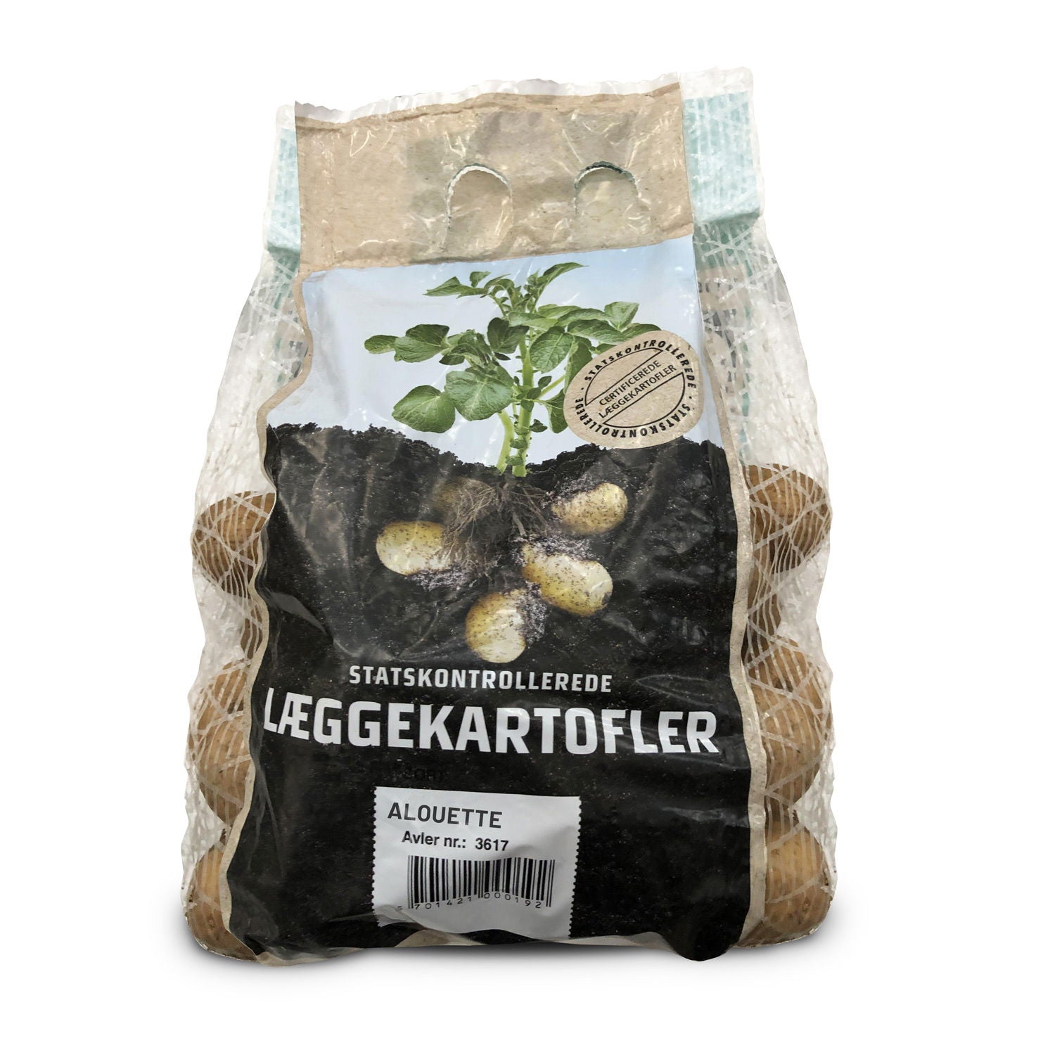 Produktbillede af Alouette Rød læggekartofler 1,5 kg (middel tidlig) på tilbud i høj kvalitet