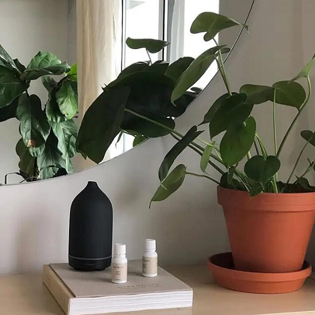 Produktbillede af Aroma stendiffuser Sort Sort på tilbud i høj kvalitet