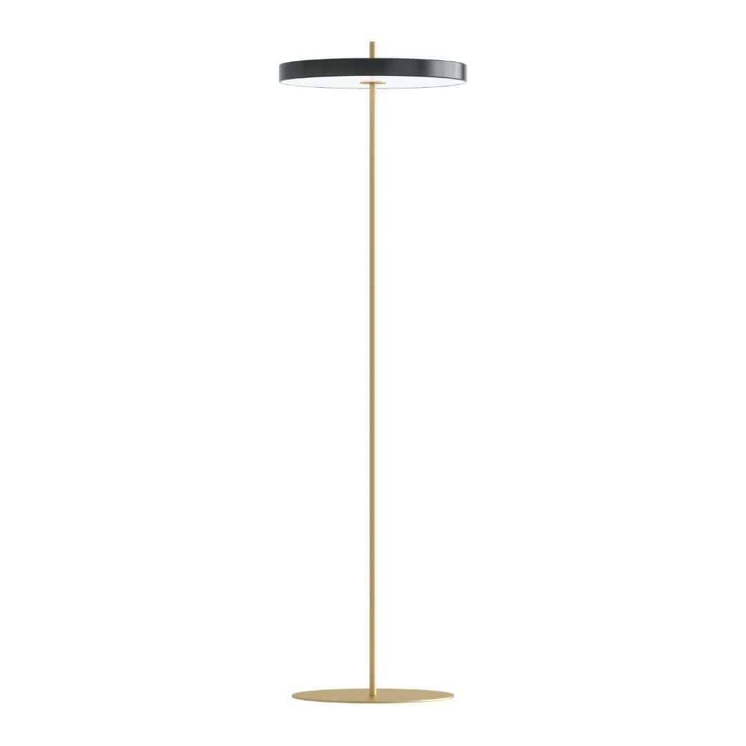 Asteria Gulvlampe Antracit Grå Umage