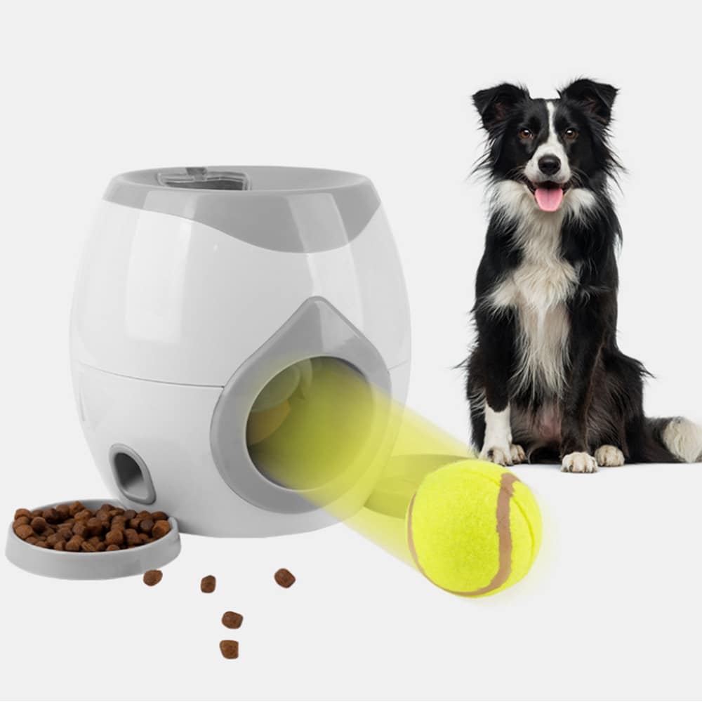 Produktbillede af Godbid og Bolddispenser til hund på tilbud
