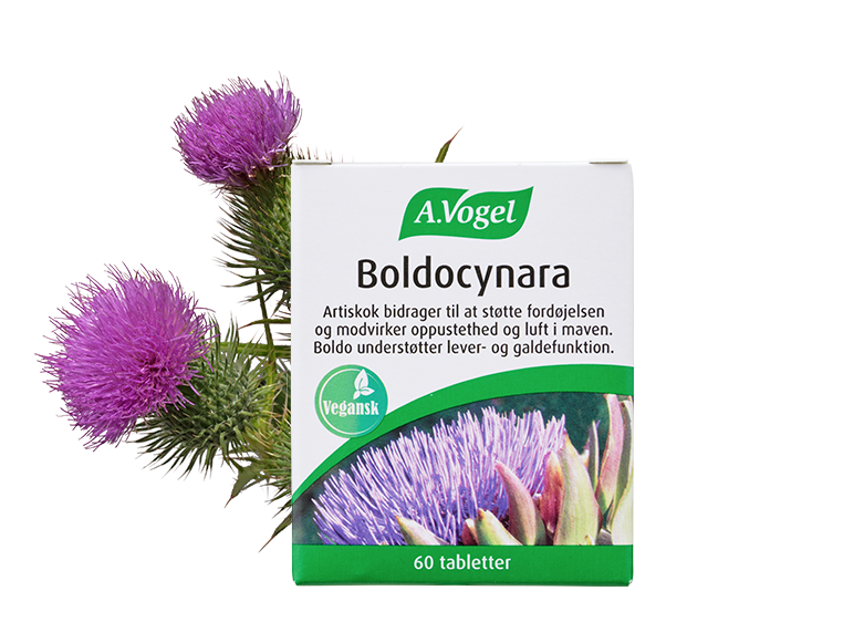 Produktbillede af A. Vogel Boldocynara Tabletter 60 tabl. på tilbud