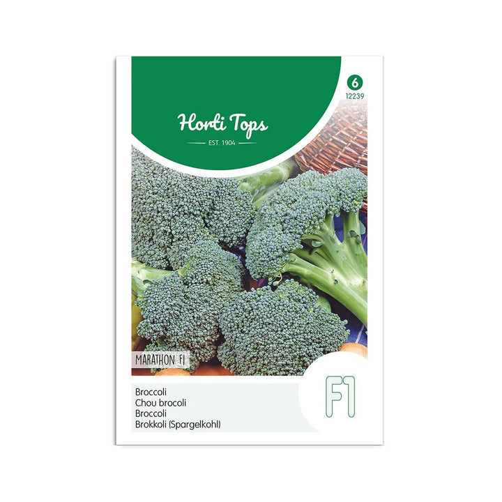 Broccoli frø Marathon F1 Horti Tops
