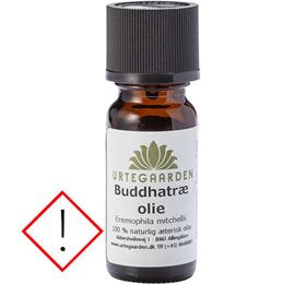 Detaljeret produktbillede af urtegaarden Buddhatræolie 5 ml på tilbud