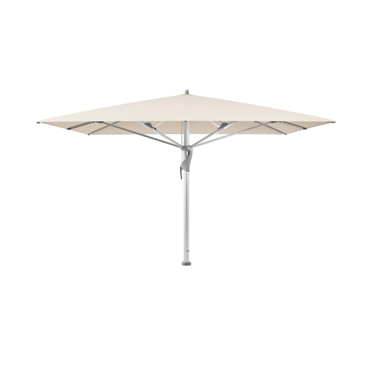 Produktbillede af Castello PRO 450x350cm u/frisekant Champagne på tilbud