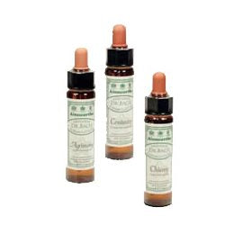 Detaljeret produktbillede af Dr. Bach Ægte kastanie 10ml X på tilbud