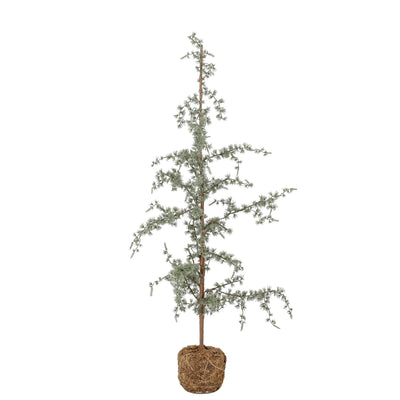Bloomingville - Vita Dekotræ, Grøn, Plastik - H120 cm ❤ Stort online udvalg i Bloomingville ❤ Billig fragt og hurtig levering 2 - 5 hverdage ❤ Varenummer: BGH-47255762927946 / Ean: '5711173274833 på lager - Udsalg på Alle produkter (Lagerbeholdning er større end 1) Spar op til 53% - Over 324 kendte brands på udsalg