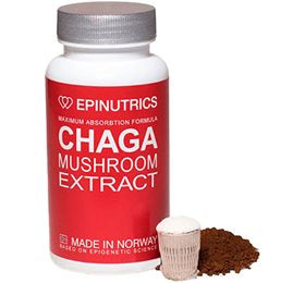 Detaljeret produktbillede af Epinutrics EPI-Chaga 60 kap. på tilbud