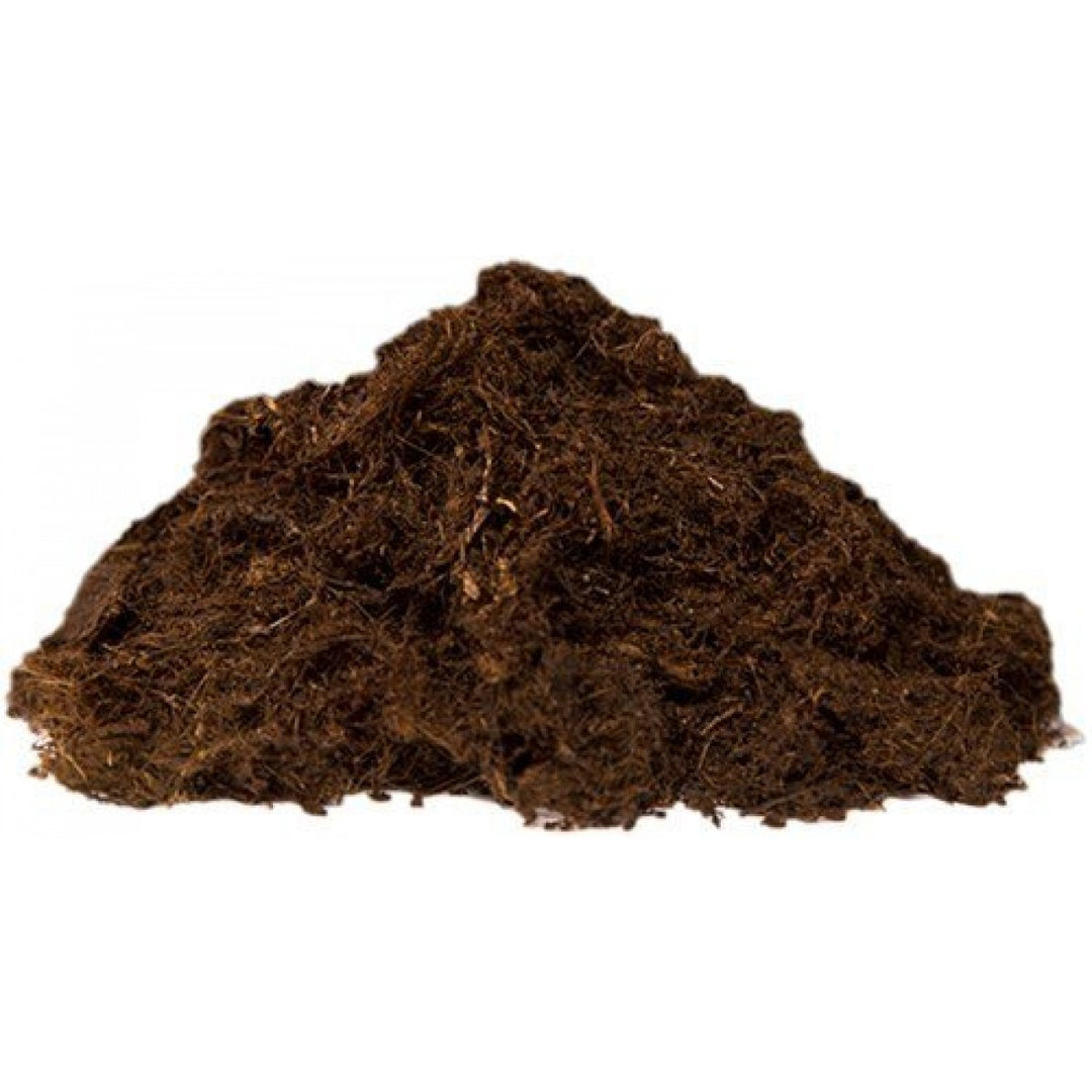 Produktbillede af 1000 liter grov Dansk spagnum fra Vildmosen leveret i bigbag. på tilbud i høj kvalitet