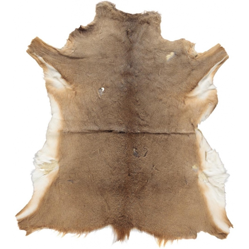 Natures Collection Deerskin 90-100 cm ❤ Stort online udvalg i Natures Collection ❤ Billig fragt og hurtig levering 2 - 5 hverdage ❤ Varenummer: BYH-2071270 / Ean: på lager - Udsalg på Skind - Over 350 kendte brands på udsalg